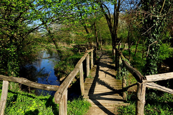 Arquà Petrarca monte Calbarina Stagno Corte Borin - Colli Euganei