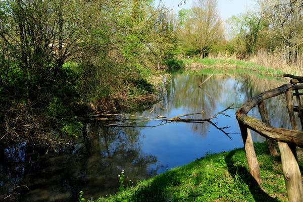 Arquà Petrarca monte Calbarina Stagno Corte Borin - Colli Euganei