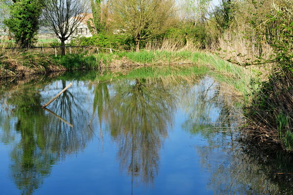 Arquà Petrarca monte Calbarina Stagno Corte Borin - Colli Euganei