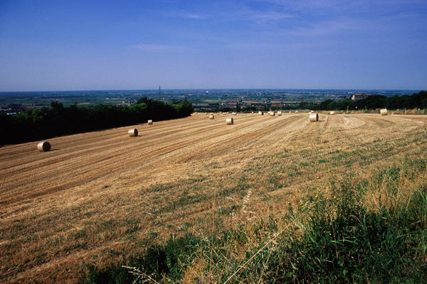 salendo a Calaone da Este