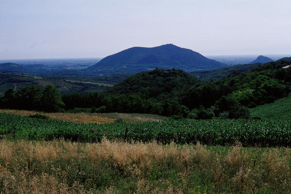 il Monte Ricco di Monselice