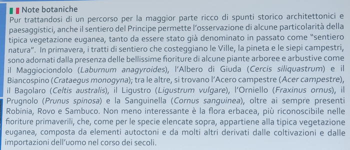 Sentiero del Principe da Este a Calaone di Baone