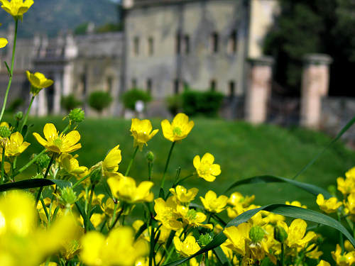 Battaglia Terme, Castello del Catajo