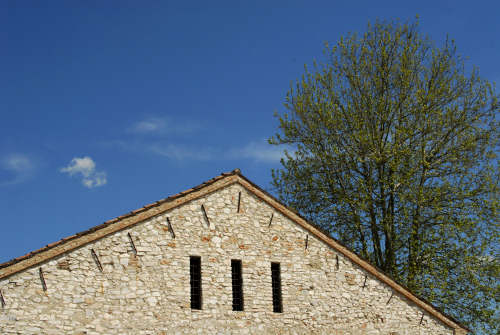 Museo di Cava Bomba - Cinto Euganeo