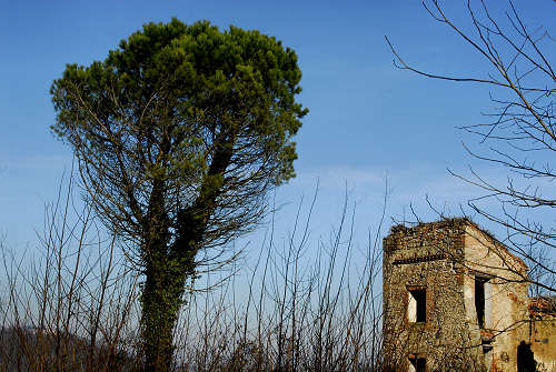 Valsanzibio - Galzignano Terme - Colli Euganei - Padova