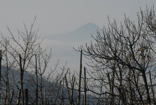 Valsanzibio - Galzignano Terme - Colli Euganei - Padova