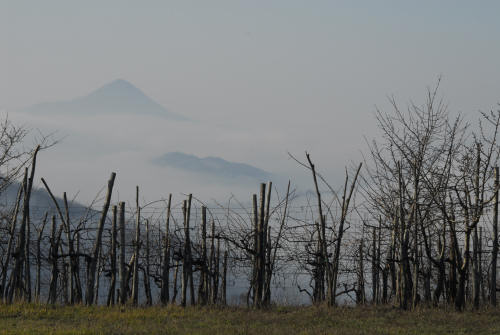 Valsanzibio - Galzignano Terme - Colli Euganei - Padova