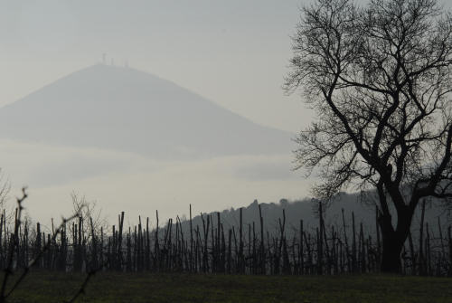 Valsanzibio - Galzignano Terme - Colli Euganei - Padova