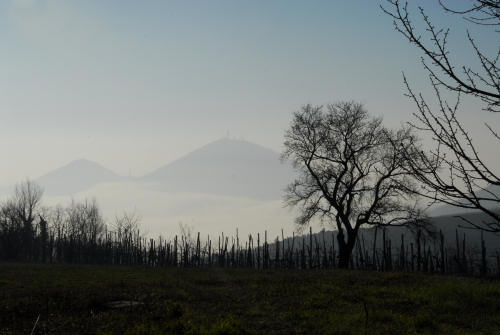 Valsanzibio - Galzignano Terme - Colli Euganei - Padova