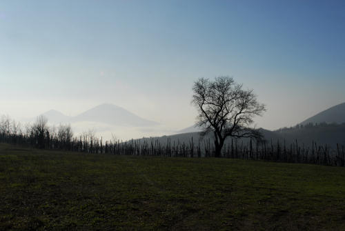 Valsanzibio - Galzignano Terme - Colli Euganei - Padova