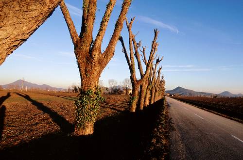 Lozzo Atestino: Castello di Valbona