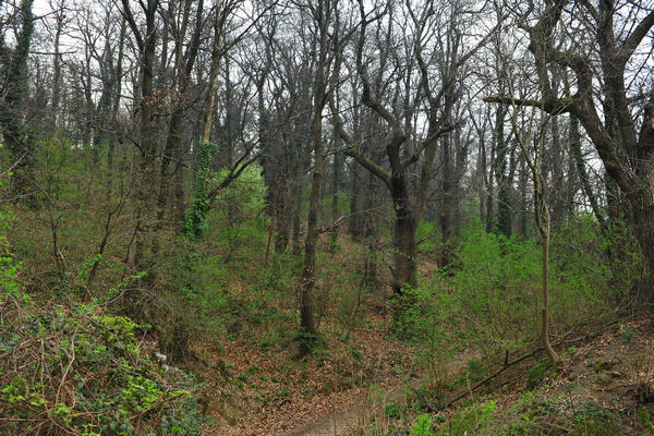 Cascata Teolo, Schivanoia Col del Vento, Rocca Pendice