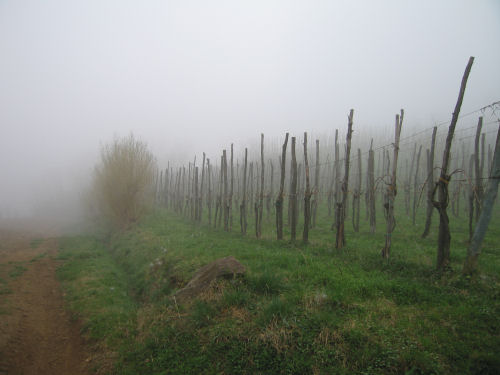 Col del Vento e Forche del Diavolo - Castelnuovo di Teolo - Colli Euganei