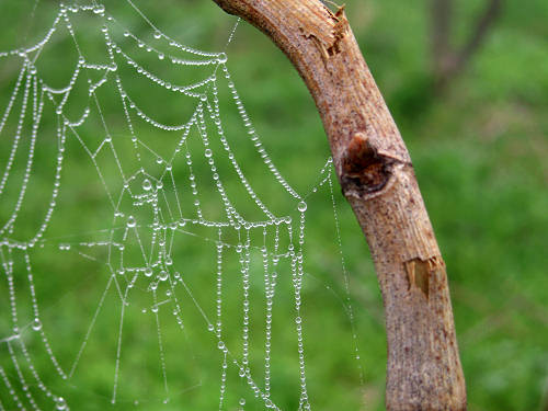 Col del Vento e Forche del Diavolo - Castelnuovo di Teolo - Colli Euganei
