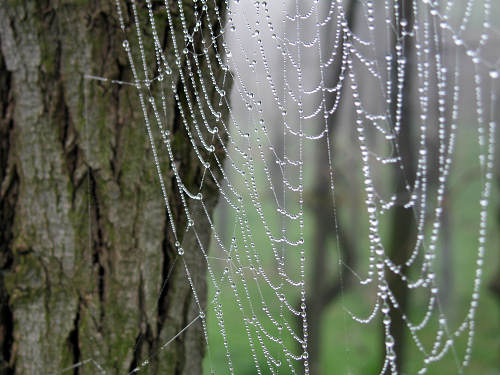 Col del Vento e Forche del Diavolo - Castelnuovo di Teolo - Colli Euganei
