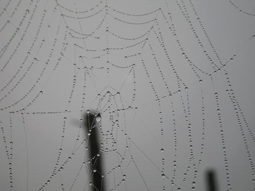 Col del Vento e Forche del Diavolo - Castelnuovo di Teolo - Colli Euganei