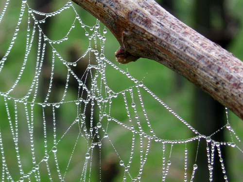 Col del Vento e Forche del Diavolo - Castelnuovo di Teolo - Colli Euganei