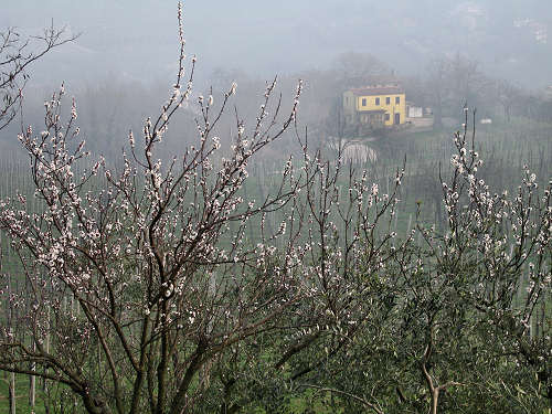 Col del Vento e Forche del Diavolo - Castelnuovo di Teolo - Colli Euganei