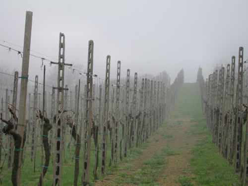 Col del Vento e Forche del Diavolo - Castelnuovo di Teolo - Colli Euganei