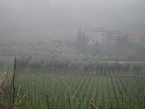 Col del Vento e Forche del Diavolo - Castelnuovo di Teolo - Colli Euganei