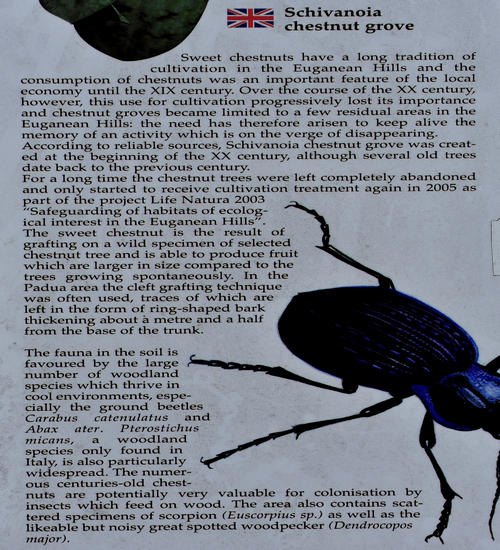 Castagneto Schivanoia, cascata Teolo, Passo del Vento, Rocca Pendice