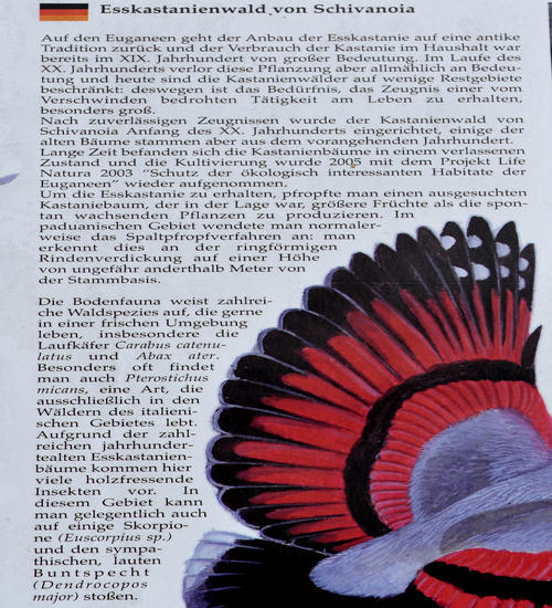 Castagneto Schivanoia, cascata Teolo, Passo del Vento, Rocca Pendice