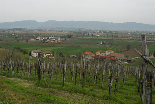 Carbonara di Rovolon - Monte Madonna, Colli Euganei