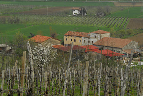 Carbonara di Rovolon - Monte Madonna, Colli Euganei