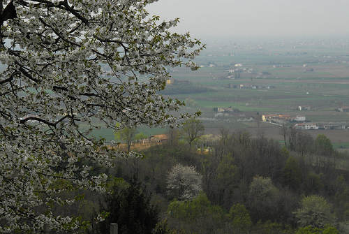Carbonara di Rovolon - Monte Madonna, Colli Euganei