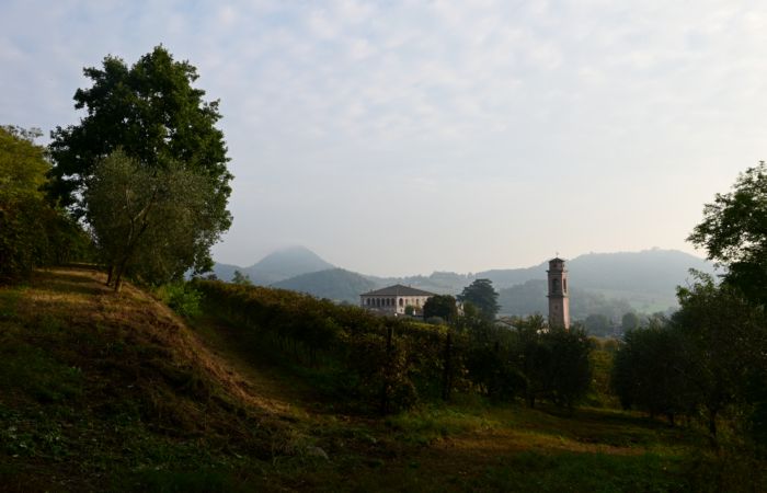 Antichi sentieri a Luvigliano, nei Colli Euganei (Padova)