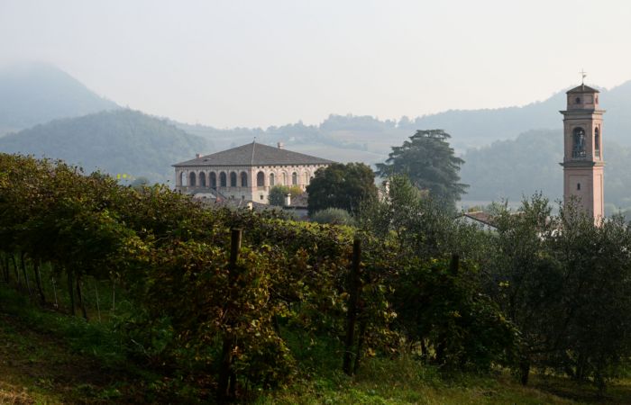 Antichi sentieri a Luvigliano, nei Colli Euganei (Padova)
