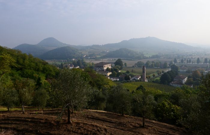 Antichi sentieri a Luvigliano, nei Colli Euganei (Padova)