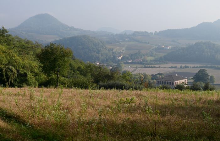 Antichi sentieri a Luvigliano, nei Colli Euganei (Padova)
