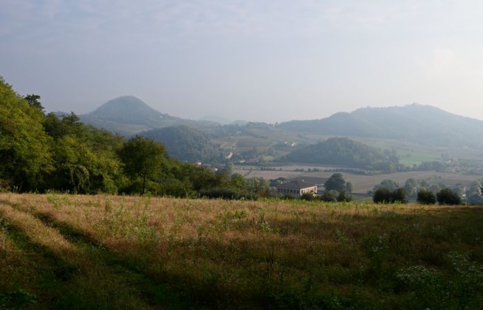 Antichi sentieri a Luvigliano, nei Colli Euganei (Padova)