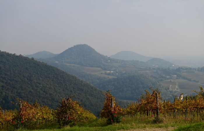 Antichi sentieri a Luvigliano, nei Colli Euganei (Padova)