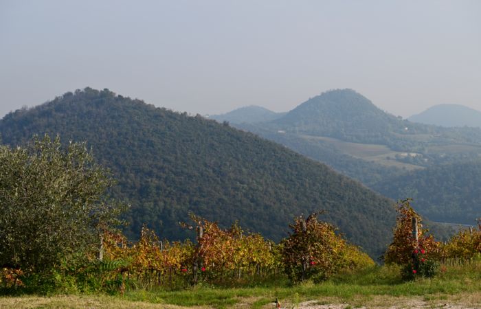 Antichi sentieri a Luvigliano, nei Colli Euganei (Padova)