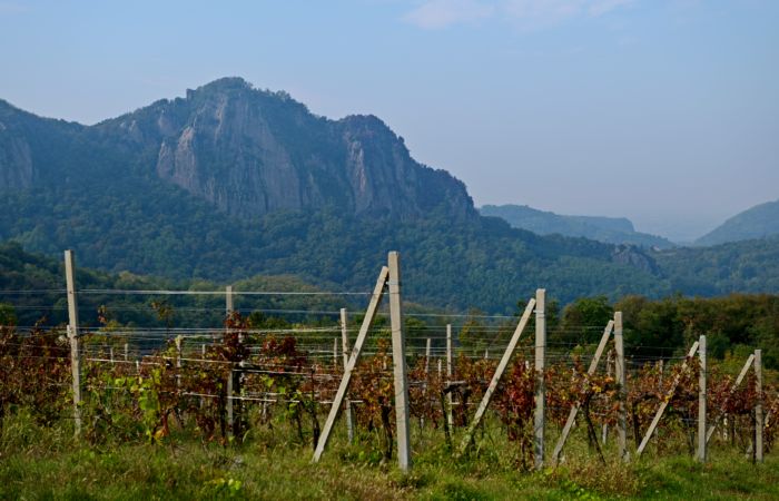 Antichi sentieri a Luvigliano, nei Colli Euganei (Padova)