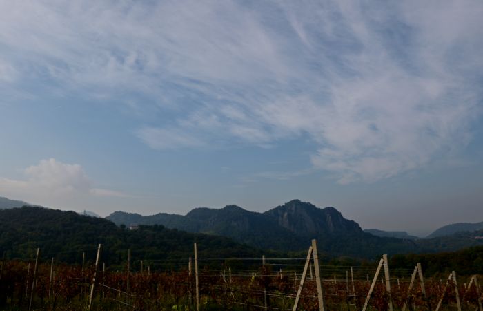 Antichi sentieri a Luvigliano, nei Colli Euganei (Padova)