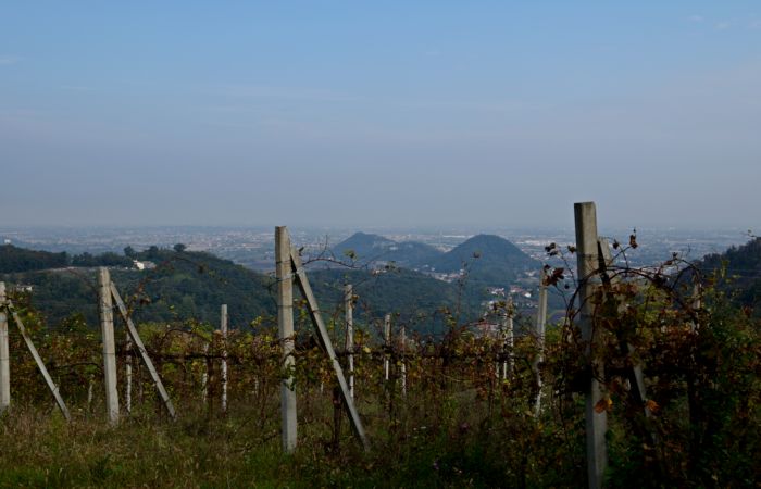 Antichi sentieri a Luvigliano, nei Colli Euganei (Padova)