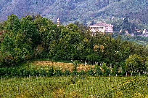 Villa Vescovi Luvigliano - Colli Euganei