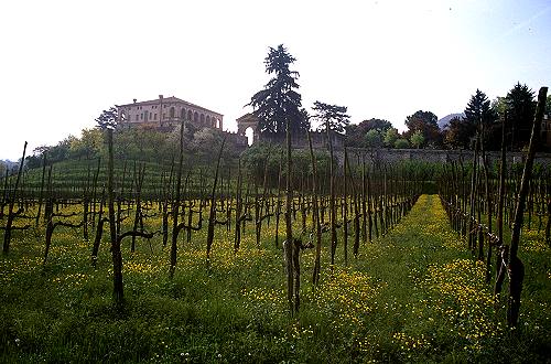 Villa Vescovi Luvigliano - Colli Euganei