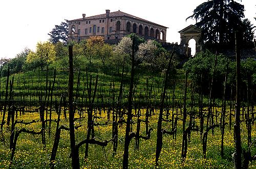 Villa Vescovi Luvigliano - Colli Euganei