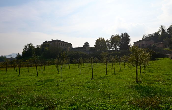 Villa dei Vescovi a Luvigliano di Torreglia, bene del Fai, Padova Colli Euganei