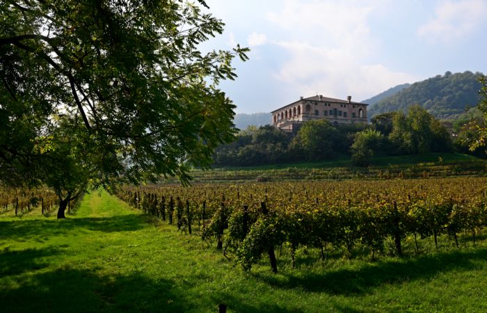 Villa dei Vescovi a Luvigliano di Torreglia, bene del Fai, Padova Colli Euganei