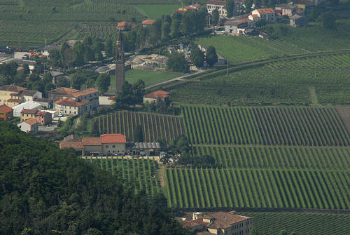 Vo Euganeo, colli euganei