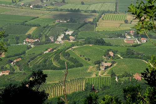 Vo Euganeo, colli euganei