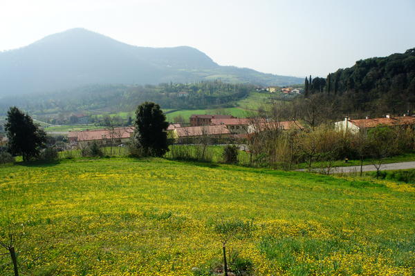 nei pressi di Arqua Petrarca