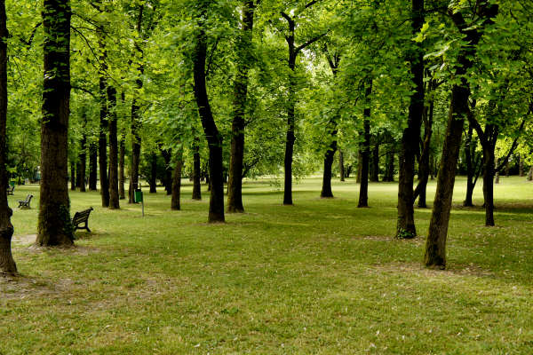 Abano Terme, giro cicloturistico dei Santuari, Colli Euganei