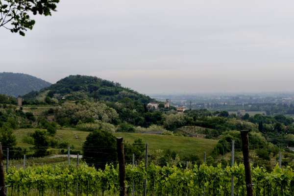 Abano Terme, giro cicloturistico dei Santuari, Colli Euganei