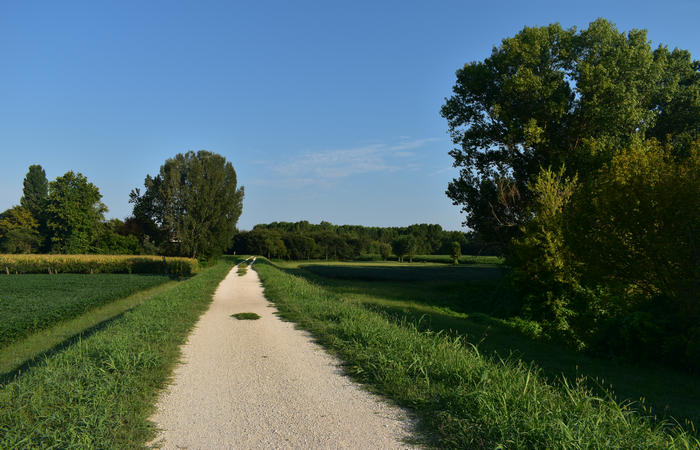 Colli Euganei campagna euganea fiume Bacchiglione, giro cicloturistico Monteortone Monterosso Castello San Martino dela Vaneza Cervarese Santa Croce Praglia